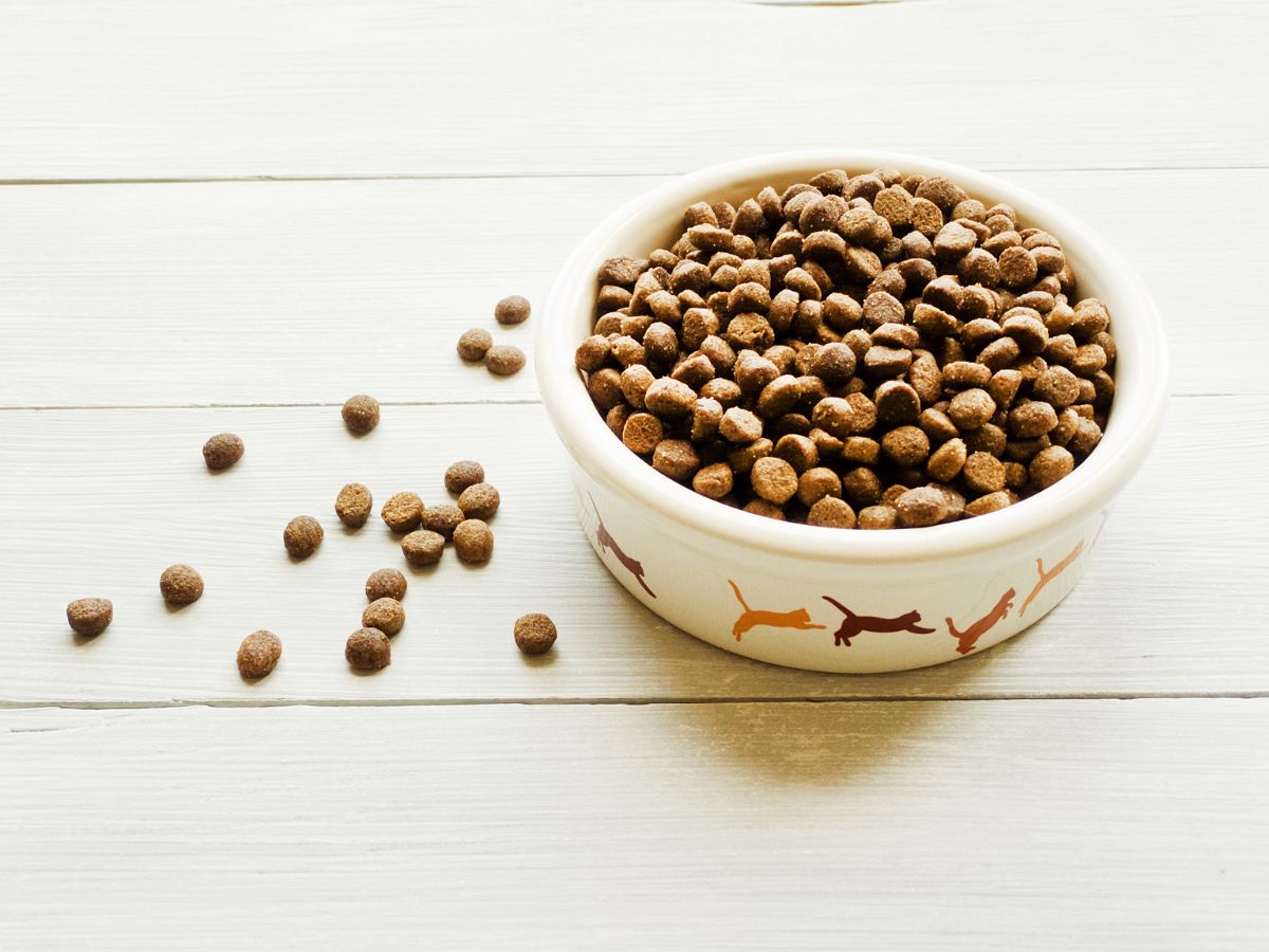 FFTIN Tierheimsponsoring