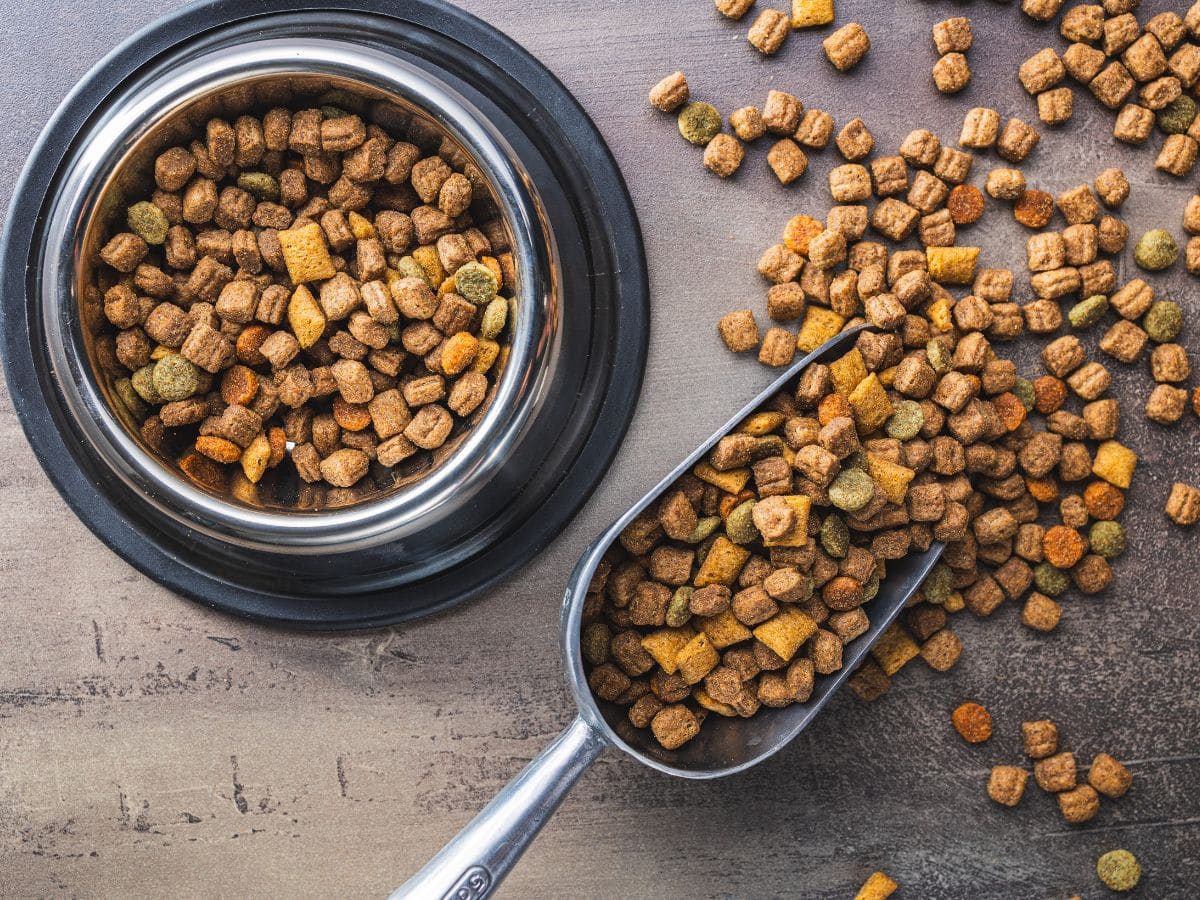 FFTIN Tierheimsponsoring