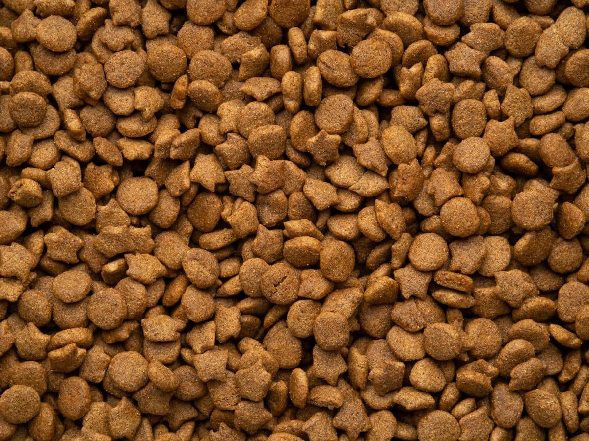 FFTIN Tierheimsponsoring